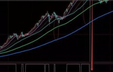 如何通过加盟公司实现快速盈利？有哪些高效策略？