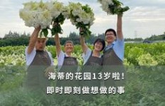 如何在QQ农场种植弹簧草实现高效盈利？