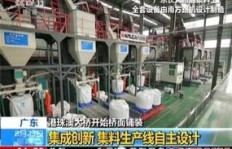在南方开设小型加工厂，能否实现稳定盈利？