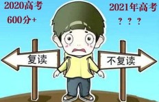 女生收入不高，尝试副业是否明智之举？