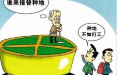 农民工如何选择工具才能更高效地赚钱？