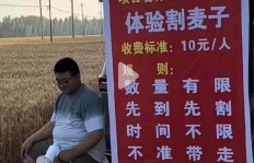 农民工兄弟是如何找到赚钱门路的？