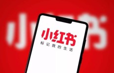 嘉嘉副业究竟是什么？如何实现月入过万？