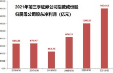 券商投资哪类项目最具盈利潜力？