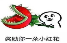 挣钱对我来说真的那么重要吗？探讨金钱与个人价值的关联