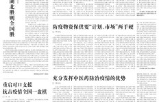 HSE兼职工作真的能兼顾安全与效率吗？探索其可行性