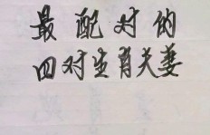 哪对生肖夫妻组合最能赚钱？揭晓财富搭档的秘密