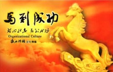 伤官制官真能助你财运亨通？揭开其中的奥秘