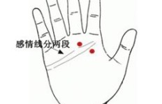 你的手纹真的预示着收入低、开销大吗？