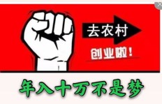 学手艺赚钱更快还是创业盈利更佳？哪个更适合你？