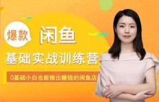 张枫的副业究竟是什么？他如何在业余时间实现额外收入？