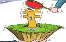 在大连承包土地，哪些赚钱项目值得尝试？