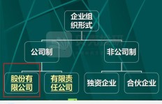 兼职股东权益与责任如何合理界定与处理？