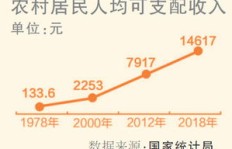 乡村副业产业如何实现大力发展？成功路径在哪里？