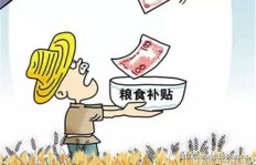 哪些地区放弃种粮却能盈利？探寻不种粮也能赚钱的奥秘