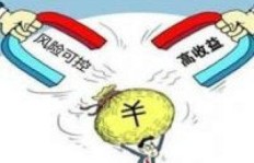哪些冷门小众产品能迅速带来高收益？