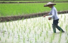 农村小伙冒雨劳作，收入几何？