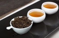 在上海采茶叶能否成为一条生财之道？