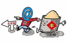 你还在寻找靠谱的副业吗？试试这些农产品推荐怎么样？