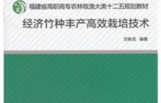 如何巧妙利用竹资源实现高效盈利？