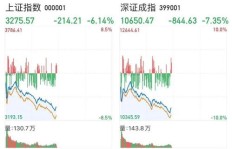 如何选择最具盈利潜力的转债进行投资？