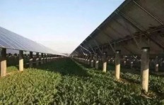 帐篷基地经营能否盈利？你了解其中的经济效益吗？