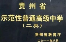 选择编程作为主业或副业，是否明智之举？