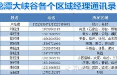 专业销售大牌A货，真的能实现高收益吗？