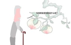 如何做到15年开店赚钱无本，秘诀在哪里？