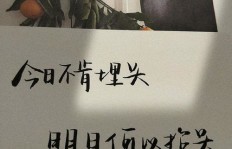 如何实现边赚钱边瘦身？励志文案带你开启双赢之旅！
