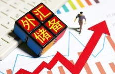X盒子真的能帮你实现财富增长吗？