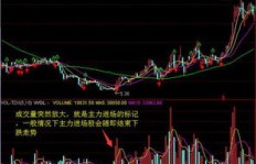哪个星座在股市中更能捞金？十二星座炒股盈利大比拼
