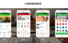 如何免费申请卖菜小程序实现盈利？赚钱秘诀大公开！