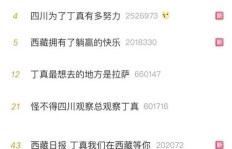 丁真走红后，他的收入情况如何？是否真的赚大钱？