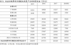 在广西，哪些项目能迅速带来收益？