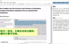 哪个外文翻译副业网站最受欢迎？排名揭晓！