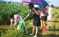 捡拾废弃物如何变身生财之道？