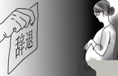 女子投身副业却遭遇骗局，究竟是谁之过？