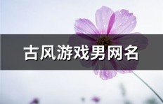 如意网名是否真的能带来好运？你用过吗？
