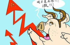 卖猪肉的同时如何巧妙开展副业？成功秘诀在哪里？