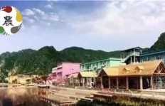 后溪镇手工活能带来多少收入？真的值得投入吗？