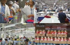 在县城经营外贸玩具生意，真的能盈利吗？
