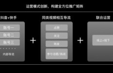 樊登如何在抖音平台上实现盈利？