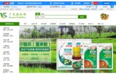 农村如何打造电商平台实现盈利？有哪些关键步骤？
