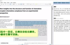 如何通过文献翻译实现稳定收入？