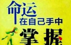 只想赚钱，这背后隐藏着怎样的心理问题？