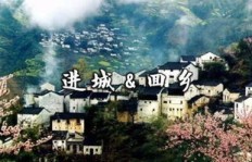 古村落养宠物能否成为致富新途径？