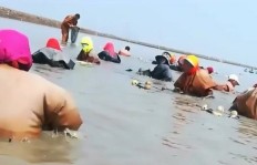 农村赶海卖海鲜，真的能赚到钱吗？背后的利润如何？