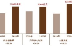 哪家公司目前盈利能力最强，领跑市场？