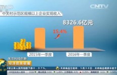 江门地区如何通过副业实现收入增长？